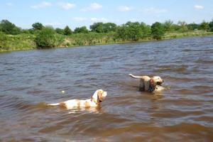 Edmond Dog Park at Bickham-Rudkin Park