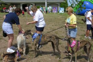 Waggin Tails Dog Park at Rotary Park