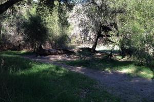 Fishermans Camp Trail