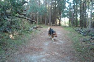 Abbey Nature Trail