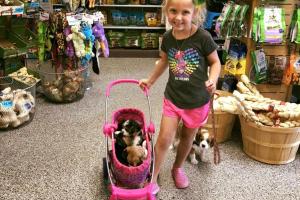 Paw & Claw Pet Palace