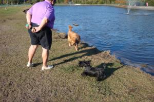 Paws Dog Park at Davis Complex
