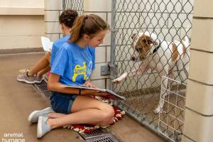 Animal Humane Society