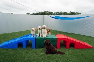 Heaven Scent K9