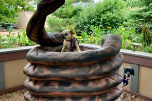 Reptile Gardens