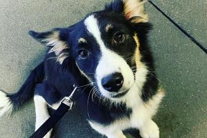 Atwoods Ranch & Home