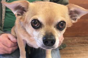 Bargersville Veterinary Hospital & Wellness Center