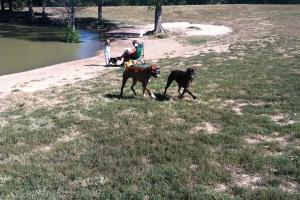 Broemmelsiek Dog Park