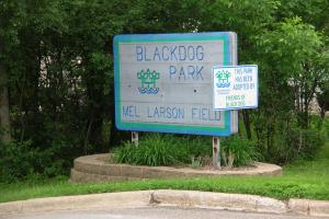 Black Dog Park
