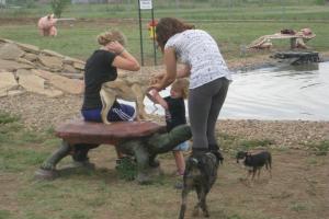 Critter Camp Bark Park