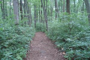 Monocacy Hill Recreation Area