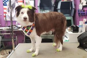 Riptide Grooming