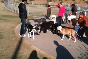 Mount San Miguel Dog Park