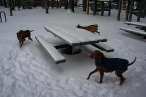 Creston Park
