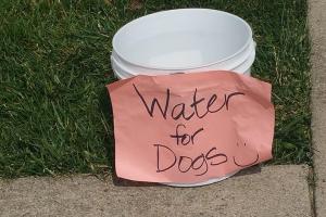 Blue Moon Canoe & Kayak