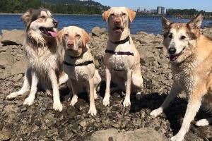 Sellwood Riverfront Park