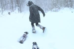 Inwood Hill Park and Dog Run