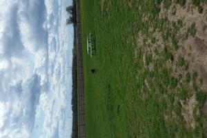 Kyle Dog Park at Thomas B. Kyle Memorial Park