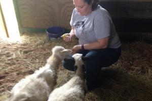 Progressive Pet Training LLC