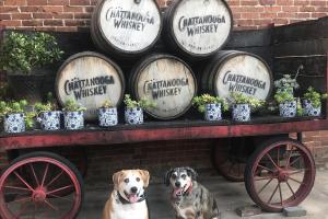 Chattanooga Whiskey Experimental Distillery