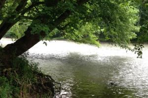 Caesar Creek State Park Dog Training Area