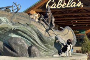 Cabela's