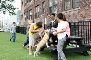 Midtown Detroit Dog Park