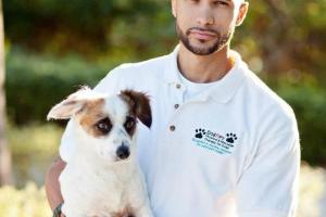 DogApy Massage Therapy For Dogs