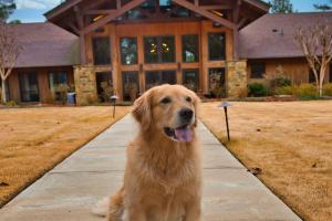 The Pine Hill Ranch Canine Center