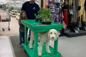 Cox's Plant Farm