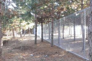 Bangor Dog Park