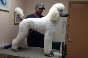 Deer Run Animal Hospital