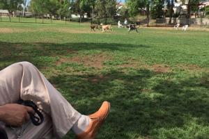 Woodglen Vista Dog Park