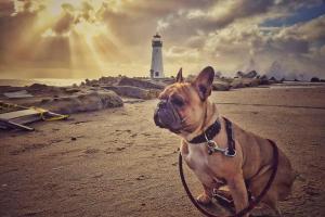 Seabright Beach