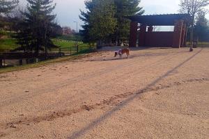 PetSafe Downtown Dog Park