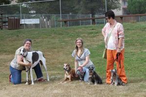 Happy Valley Dog Park