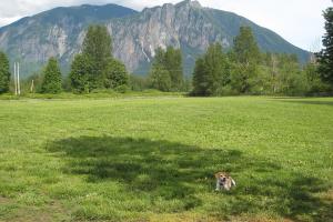 Three Forks Dog Park