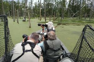 The Atchafalaya Experience