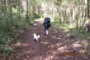 Waterdog Lake Trail
