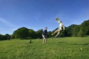 Prospect Park Dog Beach