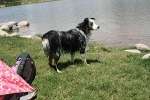 Edwards Freedom Park