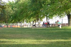Elk Grove Dog Park