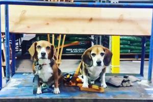 Lowe's Home Improvement