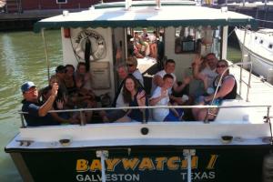 BayWatch Dolphin Tours
