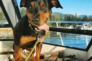 Tahoe Sport Fishing