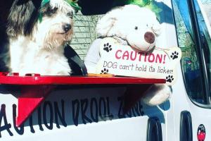 Wiggle Waggles / 6 Mutts Doggie Food Truck