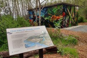 Woodland Park Rose Garden