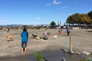 Edmonds Marina Beach Off-Leash Dog Park