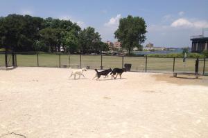 Little Bay Dog Run