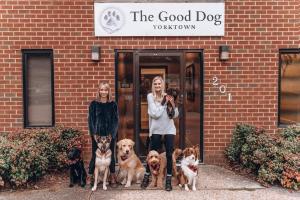 The Good Dog Yorktown